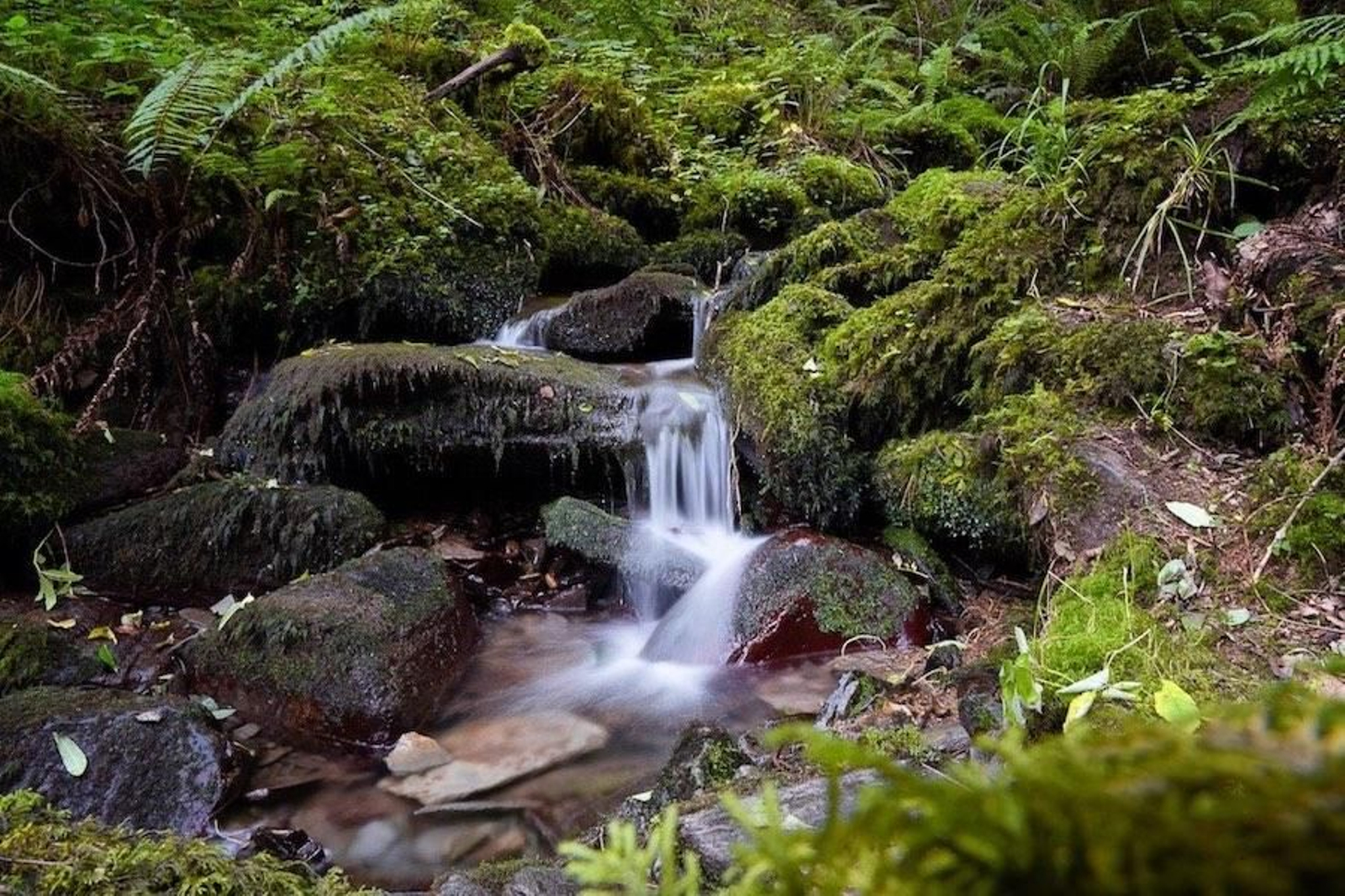 Fotogalería zip cien fotos