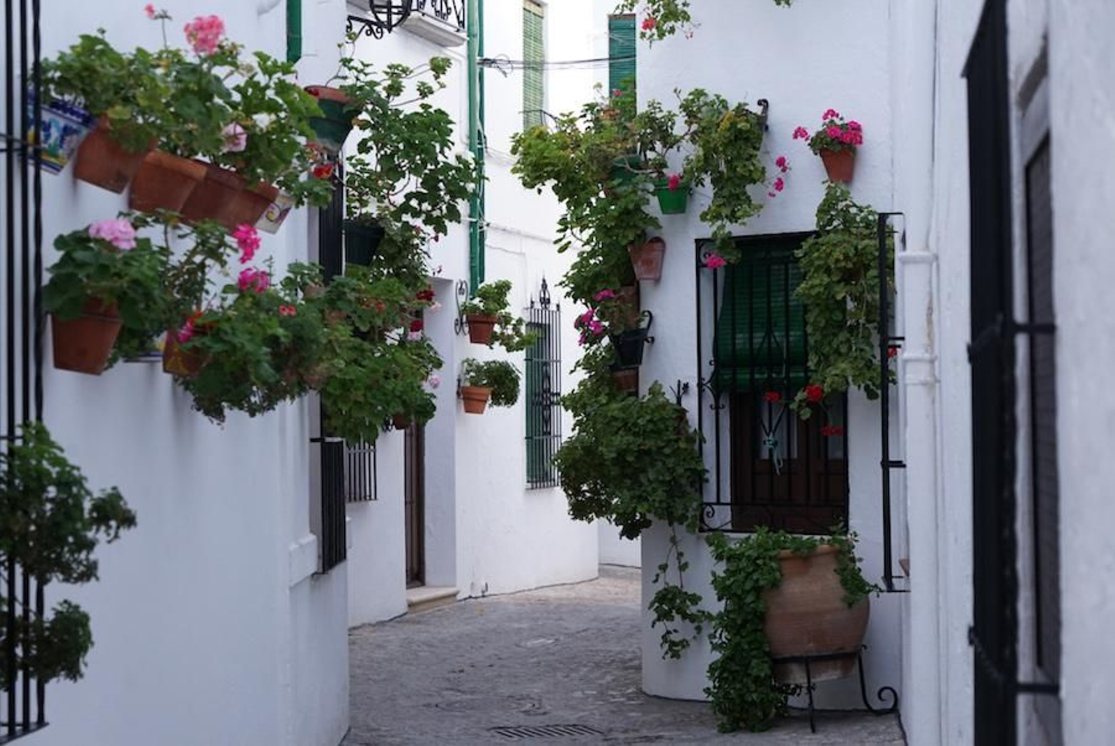 Fotogalería zip cien fotos