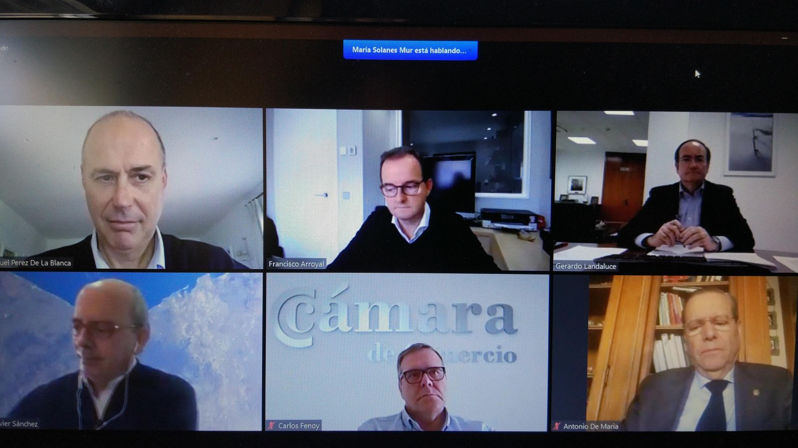 Intervinientes en el coloquio virtual organizado por la CEC titulado 'El día después'.