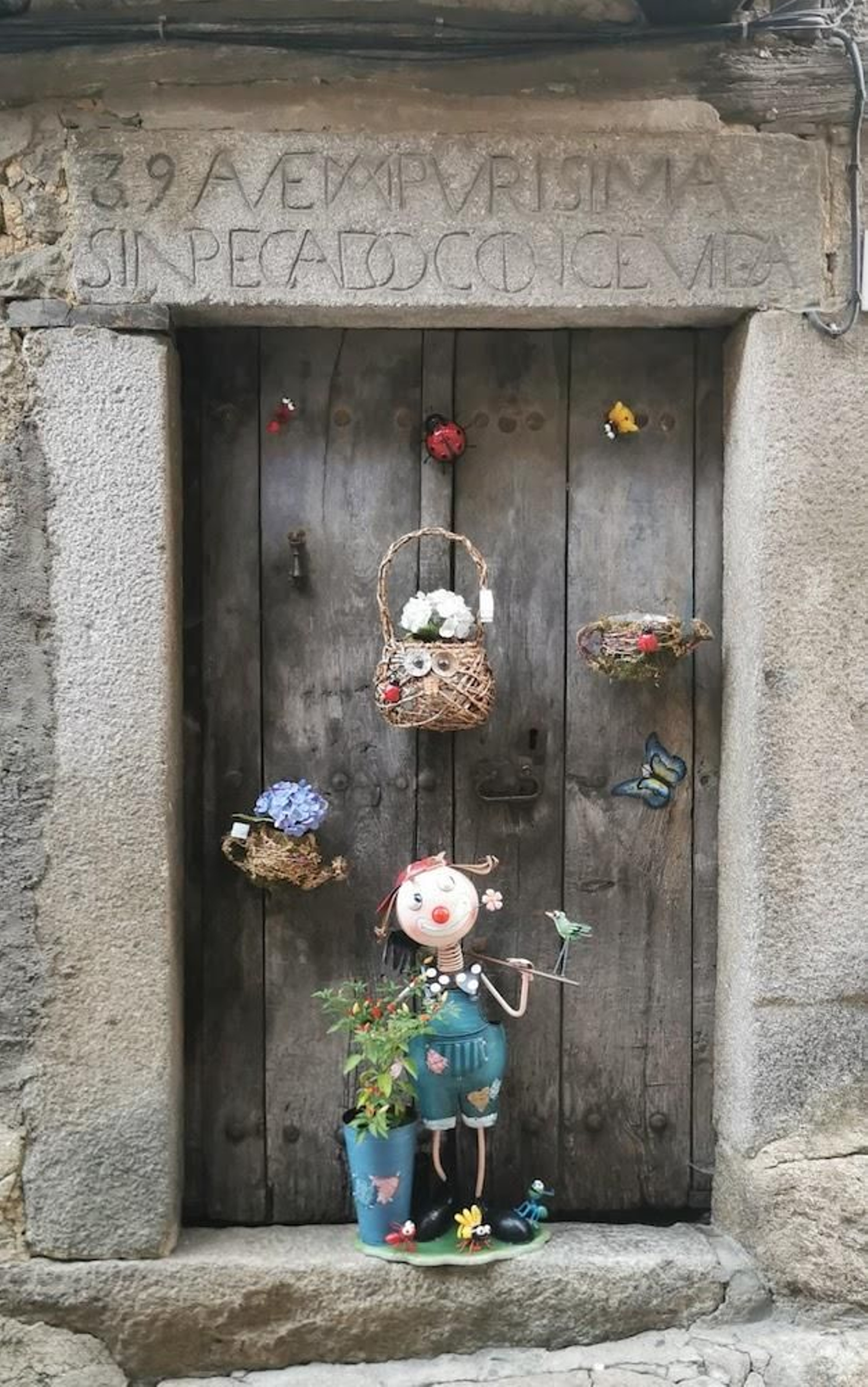 Fotogalería zip cien fotos