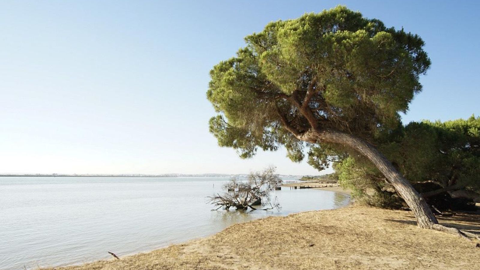 Fotogalería zip cien fotos