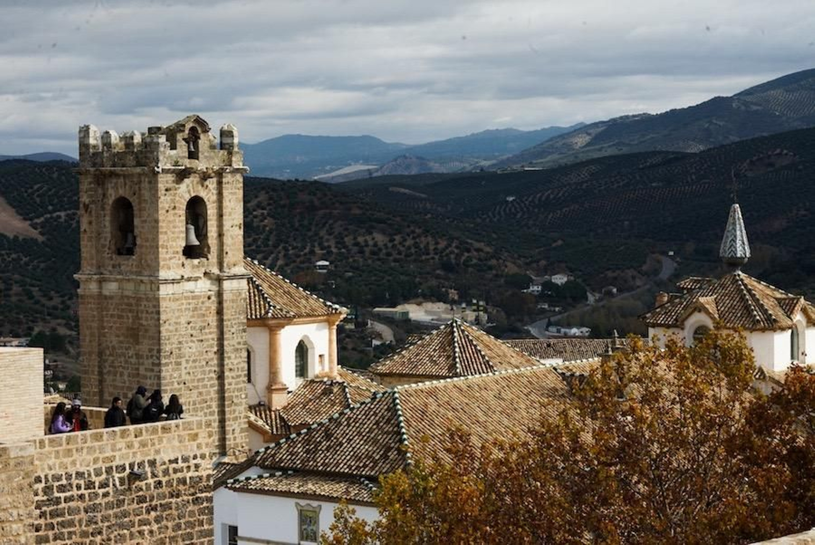 Fotogalería zip cien fotos