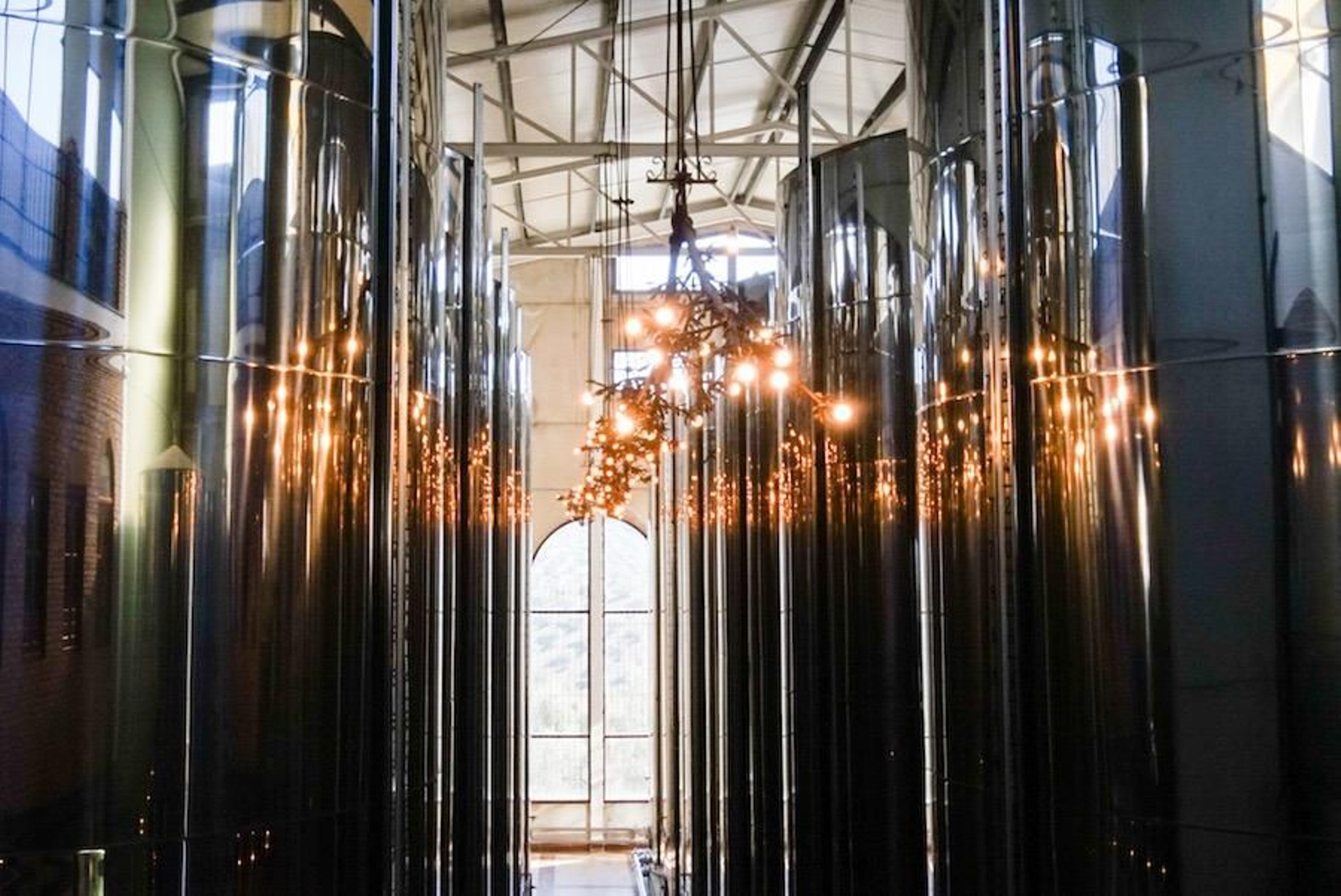 Fotogalería zip cien fotos