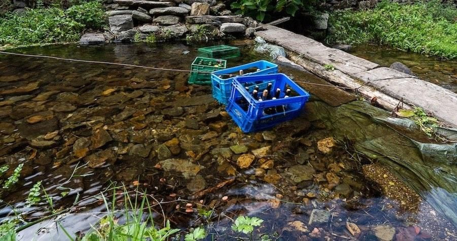 Fotogalería zip cien fotos