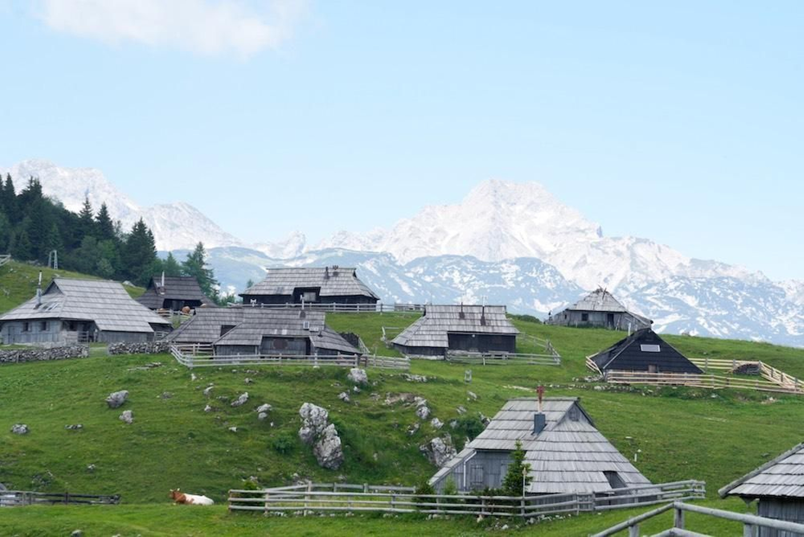 Fotogalería zip cien fotos