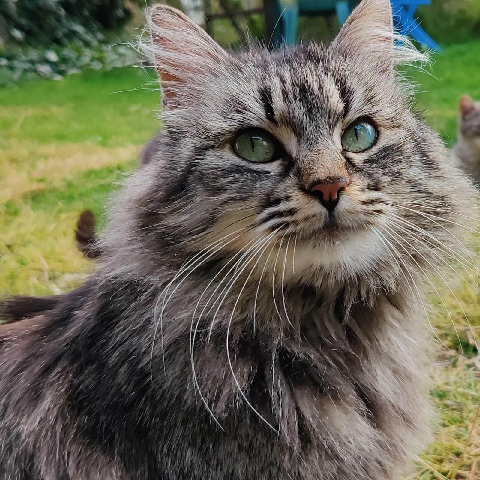 IMG 20220306 151208 686