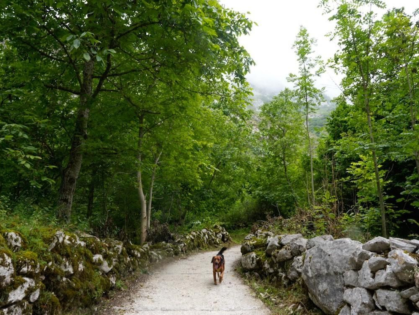 Fotogalería zip cien fotos