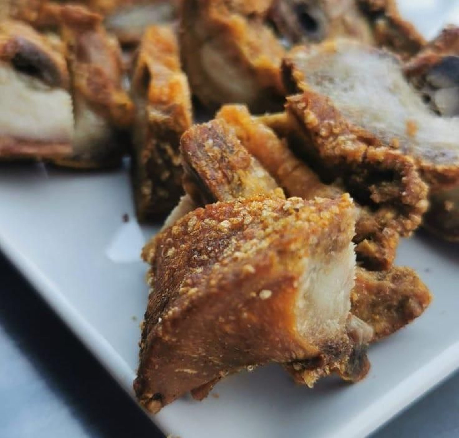 Fotogalería zip cien fotos