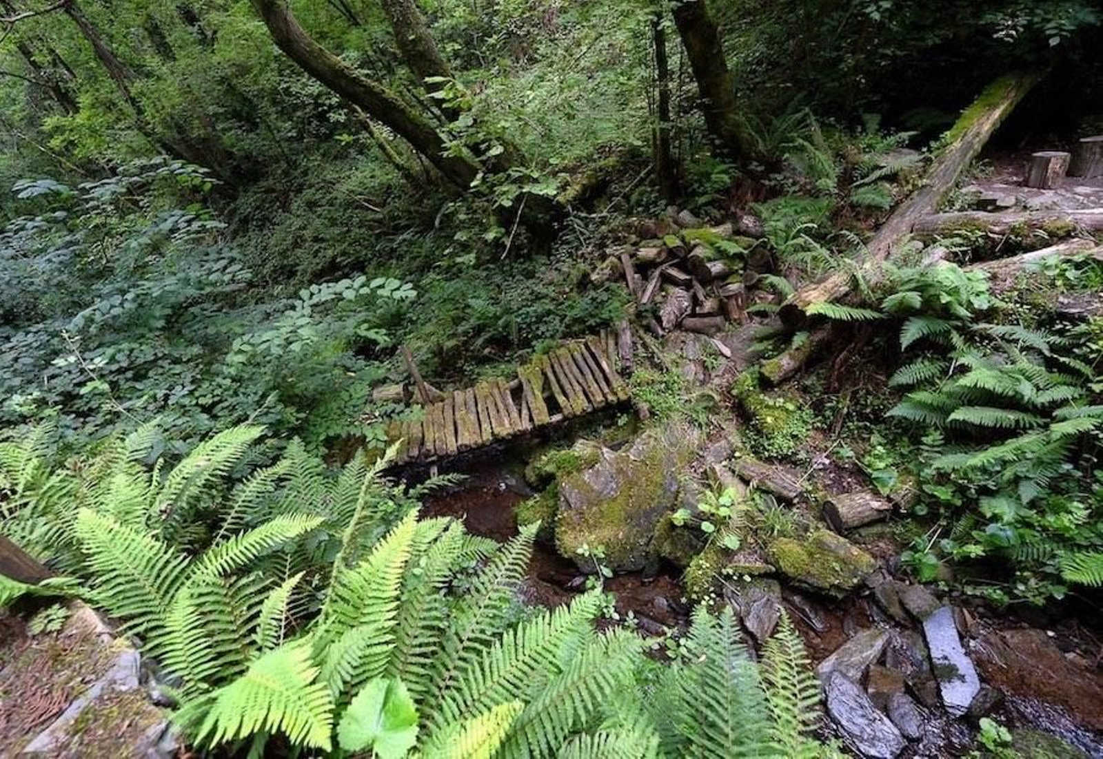 Fotogalería zip cien fotos