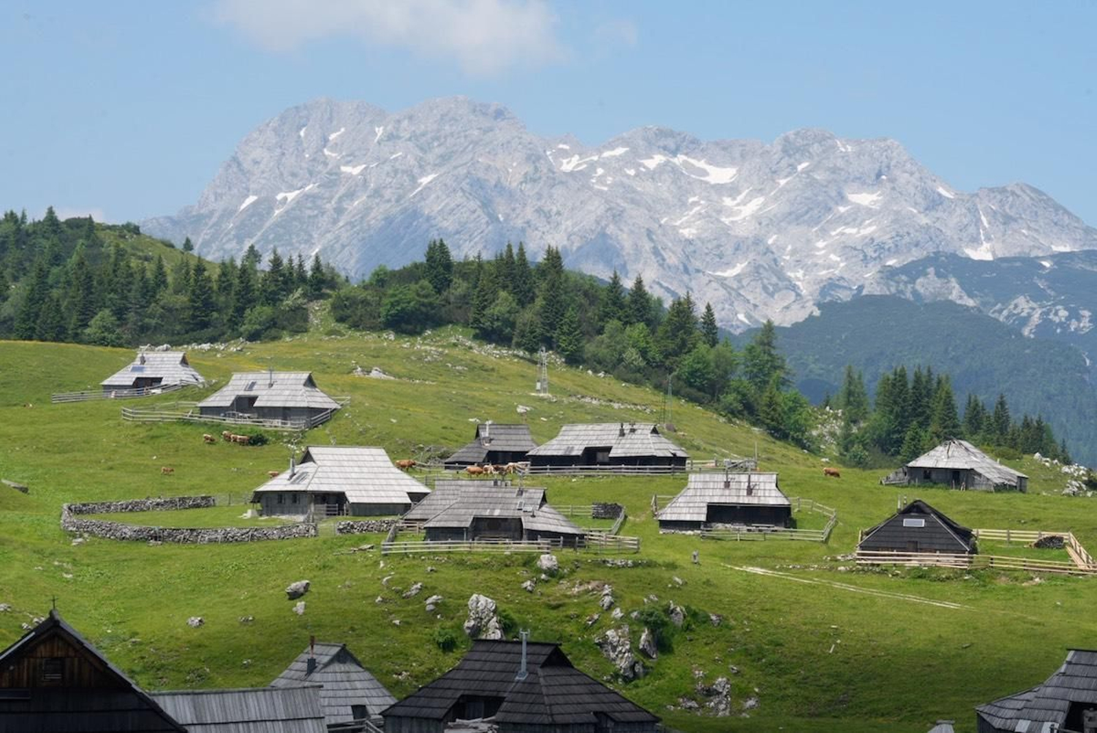 Fotogalería zip cien fotos