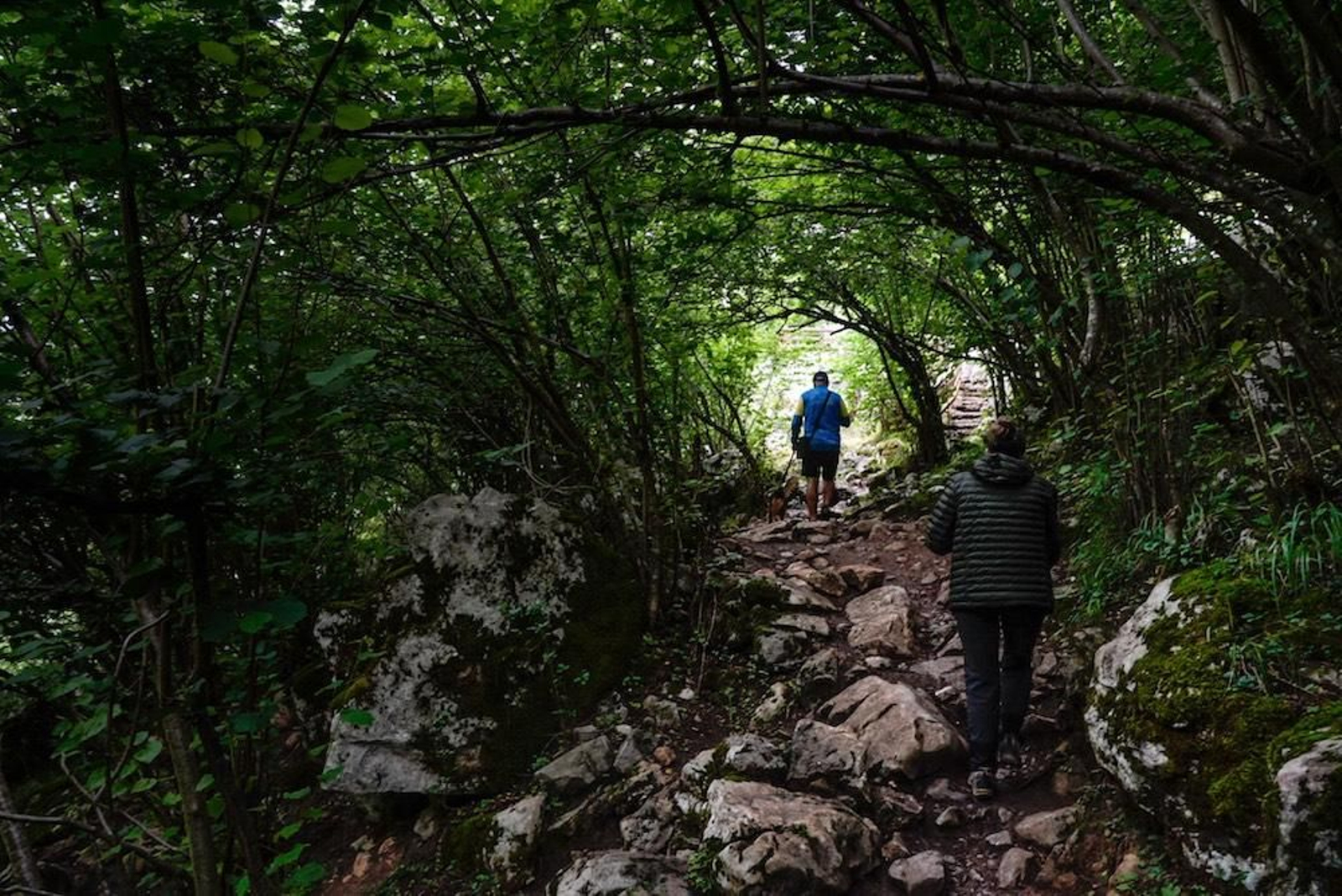 Fotogalería zip cien fotos