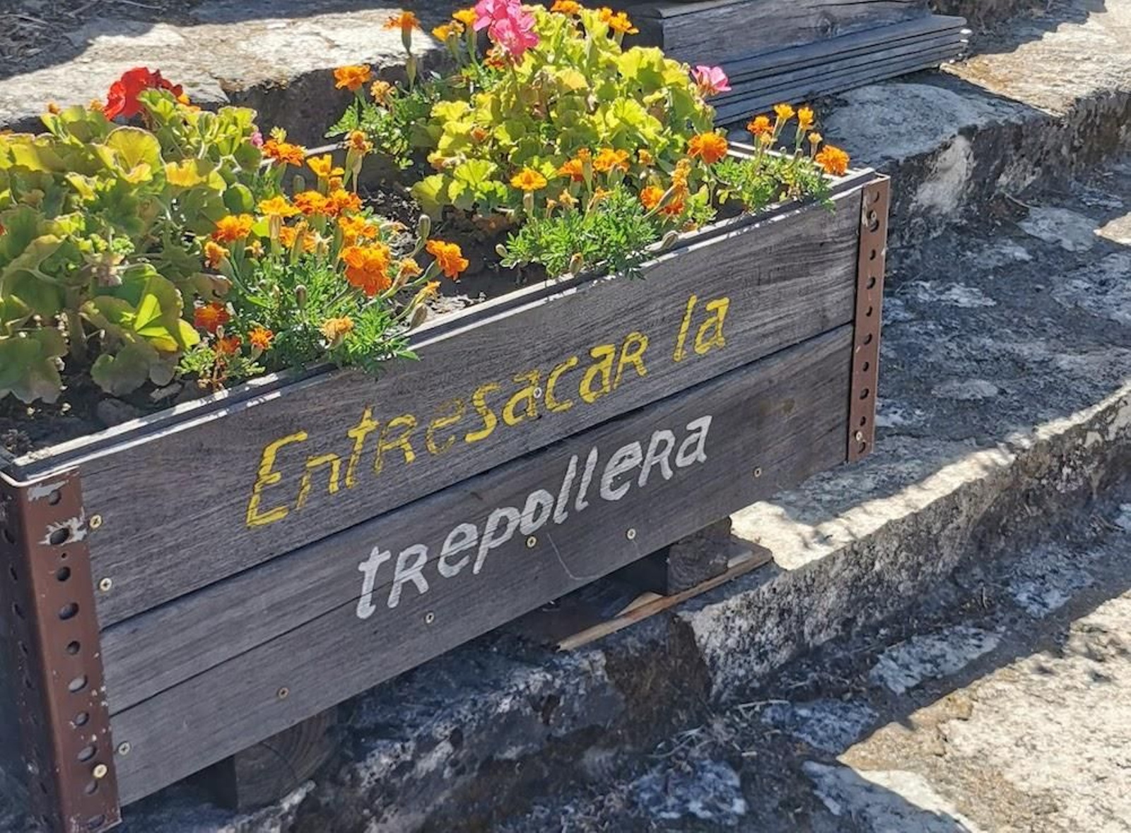 Fotogalería zip cien fotos