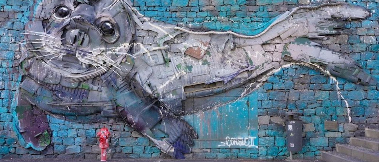 portugal madeira camara lobos foca bordalo