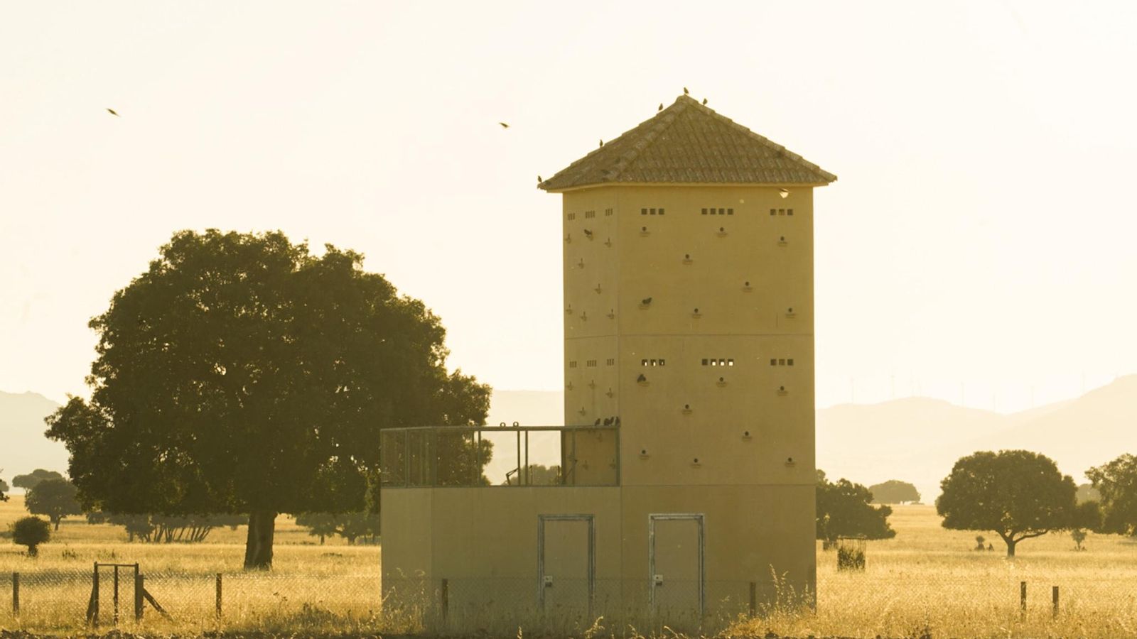 Fotogalería 20.11.23