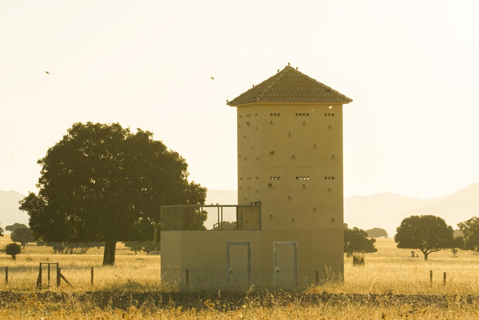 Fotogalería 20.11.23