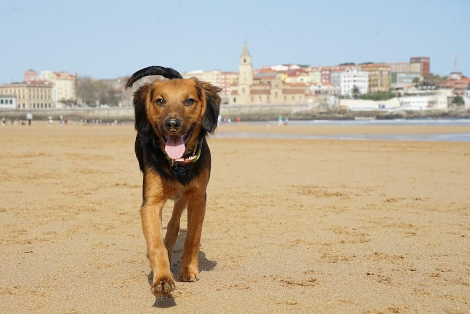 Fotogalería zip cien fotos