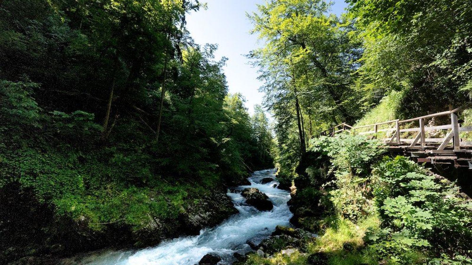 eslovenia garganta vintgar