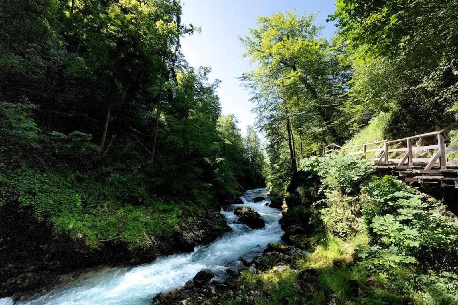 eslovenia garganta vintgar