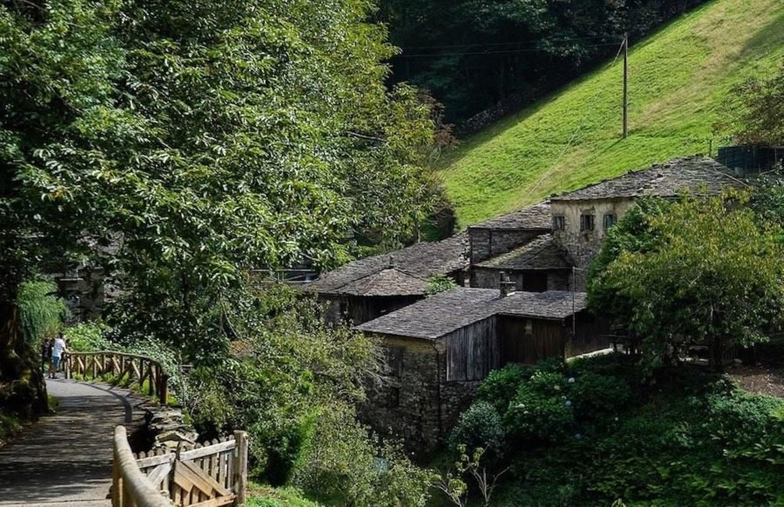 Fotogalería zip cien fotos