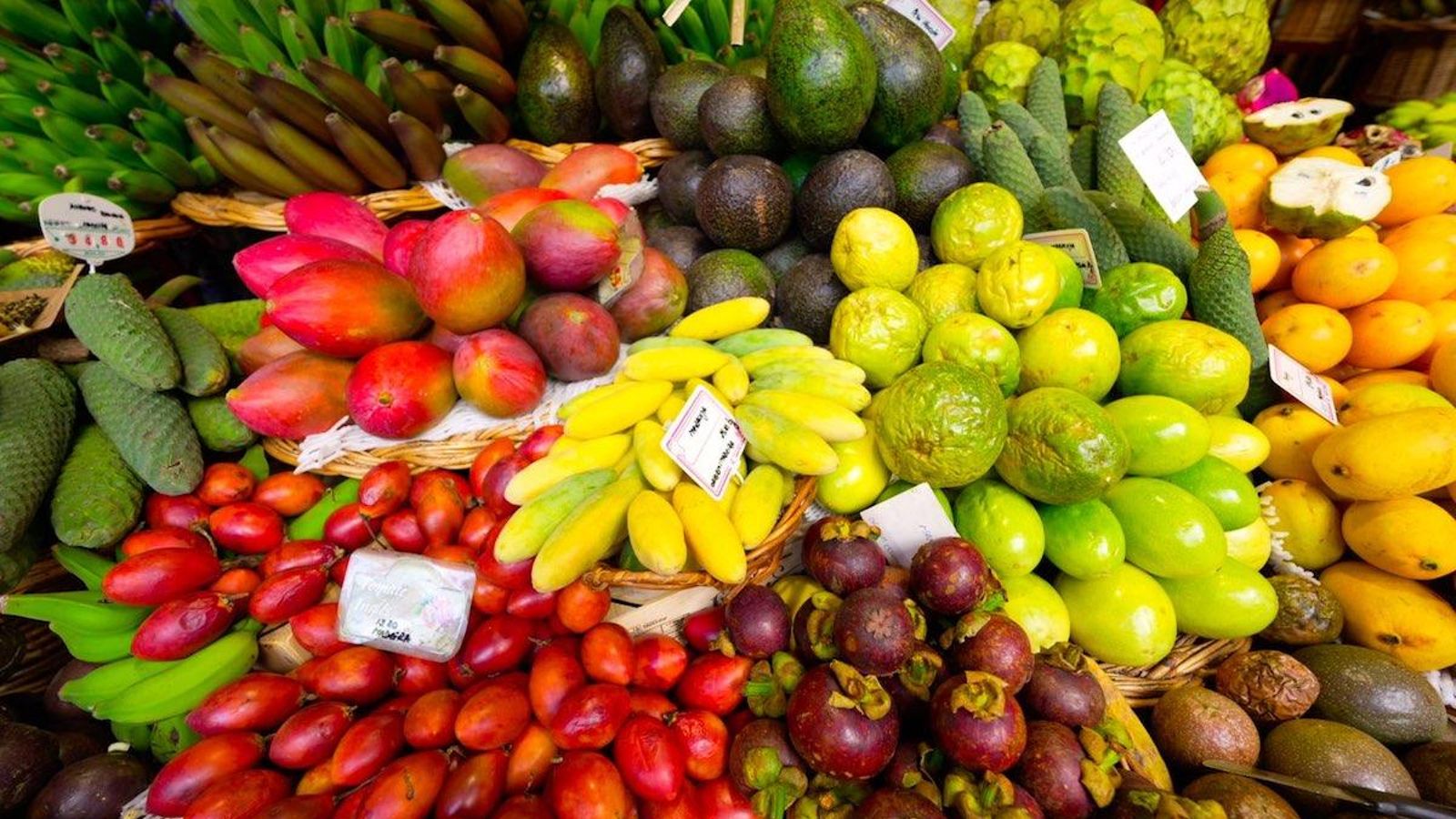 Sala de Endoscopia Respiratoria, en consultas externas donde se realiza la técnica. La doctora Nuria Reyes y el doctor Antonio Cruz junto al ecobronscoscopio y la criosonda, de cuya combinación resulta el CrioEBUS