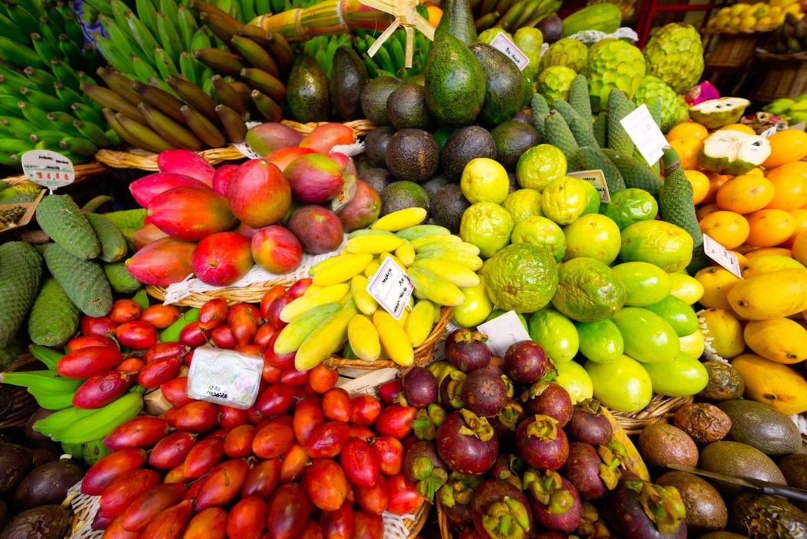 madeira gastronomia fruta mercado