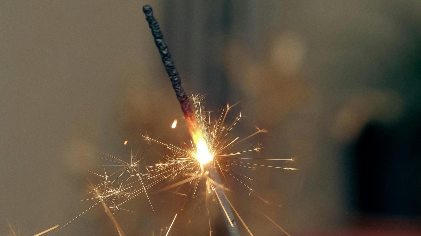 pexels annpeach 15143046