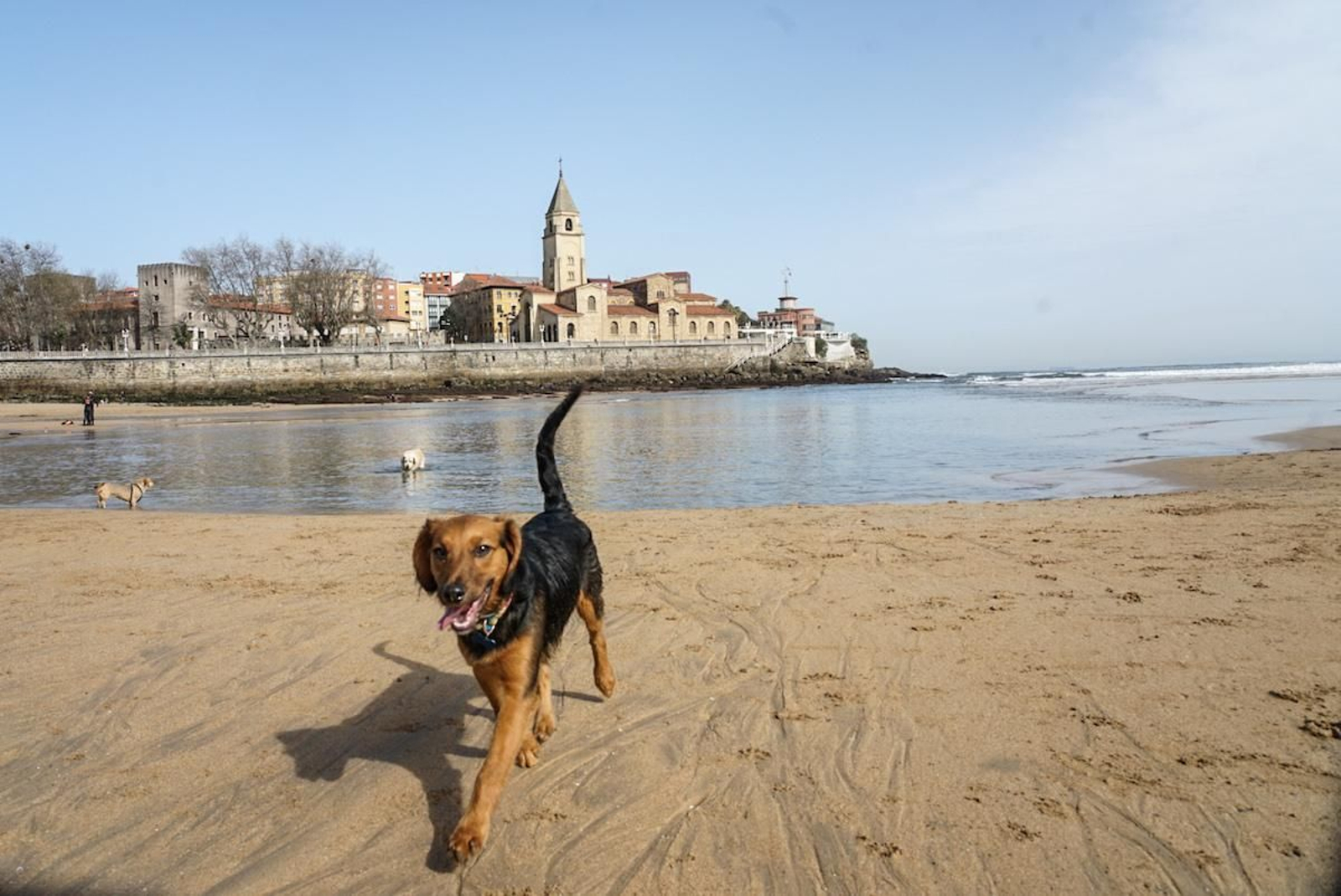 Fotogalería zip cien fotos