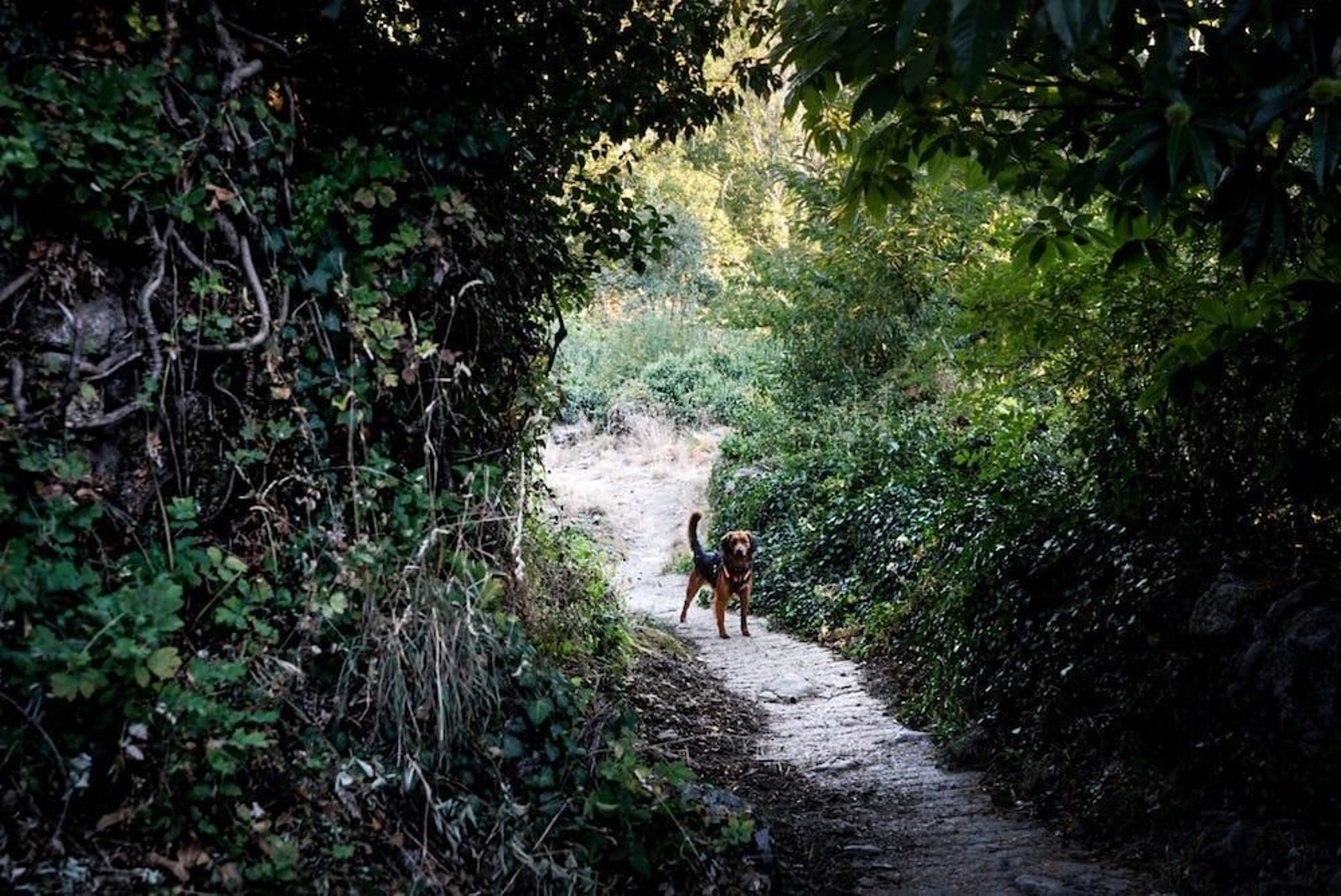 Fotogalería zip cien fotos