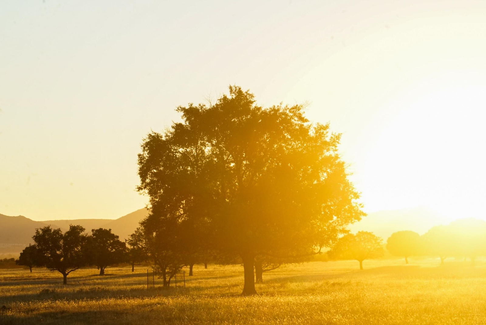 Fotogalería 20.11.23